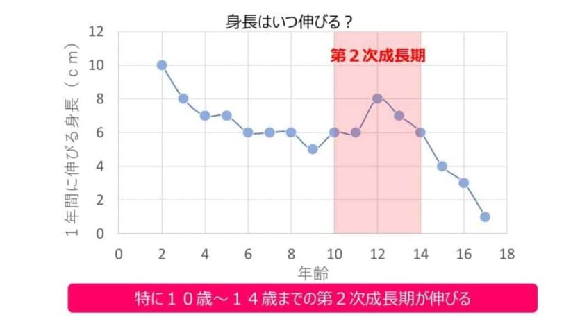 セノビックは身長が伸びる効果はある？