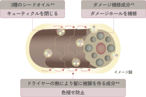 クレイスパ【クレイエンスのこだわり処方】4つのポイント解説！