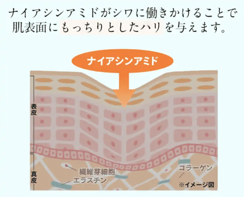 悪い口コミある？リンクフェードリンクルカバーファンデーション体験者の本音と評判！ナイアシンアミド