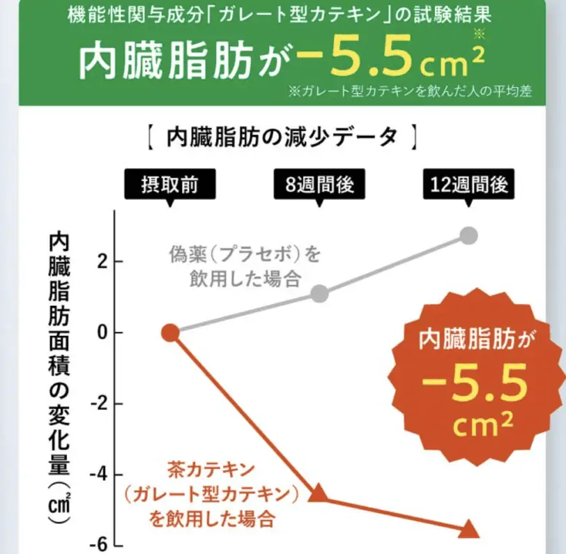 痩せない？カテキン減脂粒体験者の本音口コミ！効果はほんと？