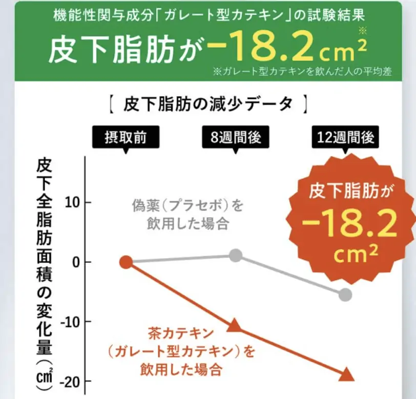 痩せない？カテキン減脂粒体験者の本音口コミ！効果はほんと？