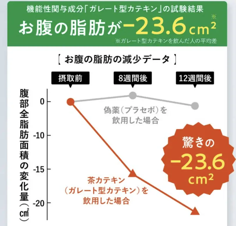 痩せない？カテキン減脂粒体験者の本音口コミ！効果はほんと？