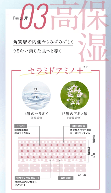 リニューアルしたブライトエイジは本当に効果ある？選ばれる理由