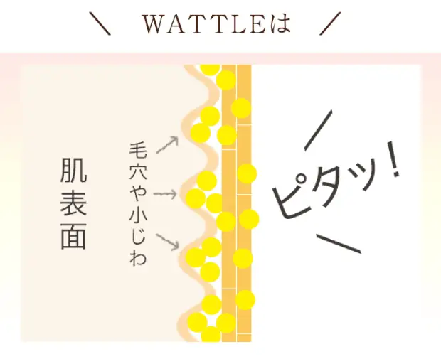 WATTLEクッションファンデーションは本当に効果ある？選ばれる理由