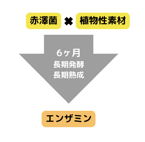 ベルタ酵素ドリンクに含まれるエンザミンってなに？