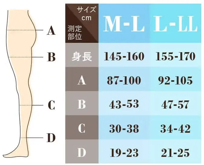 ベルミスサイズ表