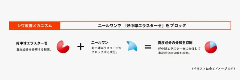 口コミ・効果とは？ポーラリンクルショットメディカルセラムN・ジオセラムプロティアンをレビュー