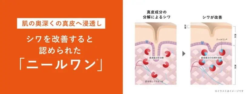 ポーラリンクルショット有効成分「ニールワン」