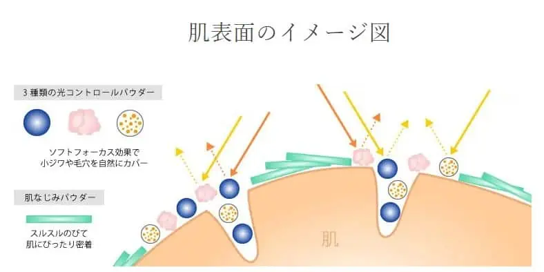 ちふれモイスチャーパウダーファンデーションの肌イメージ