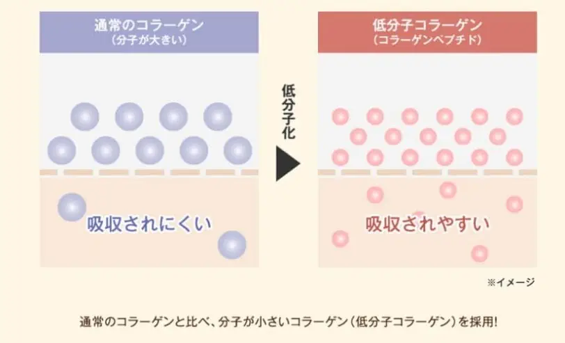 ひざ関節の動きをサポートする機能性表示食品