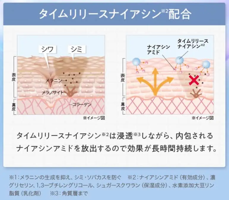 パーフェクトワン薬用リンクルカバーファンデーション配合成分説明画像