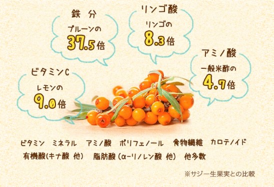 サジーの栄養素(成分・味の違い)鉄分量