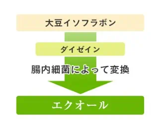 大塚製薬エクエルモニターエクオール