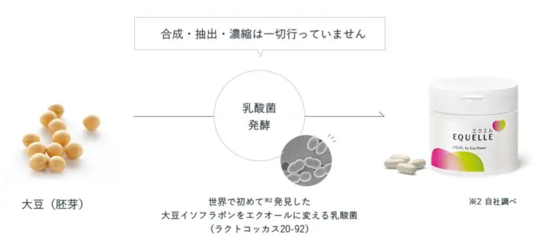 大豆からエクエルへの加工過程