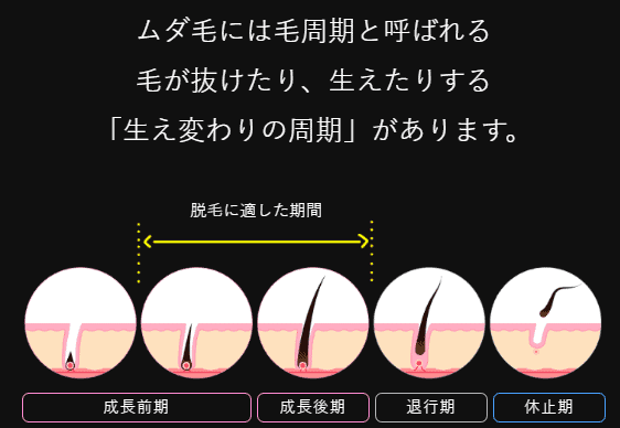 毎日続けることで成果が出やすい2