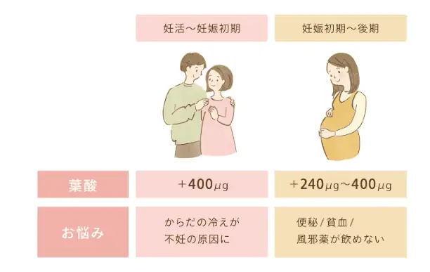 妊娠中のママも嬉しいサプリメント