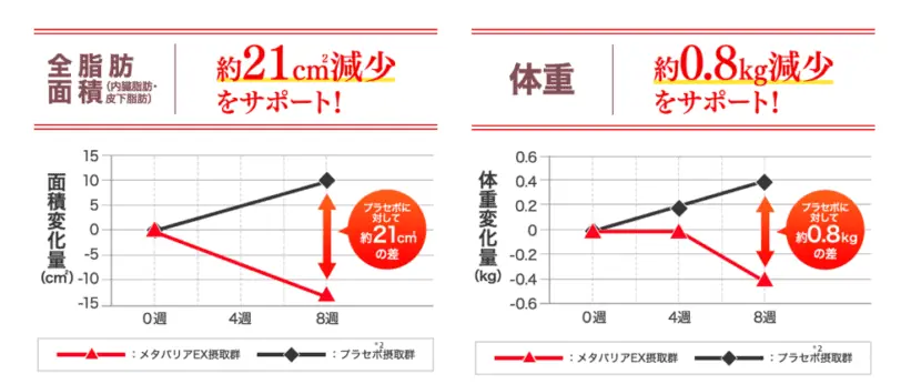 糖質ダイエットの新しい形