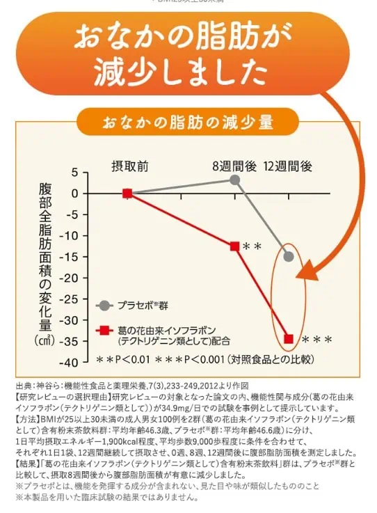 大正製薬おなかの脂肪が気になる方のタブレット