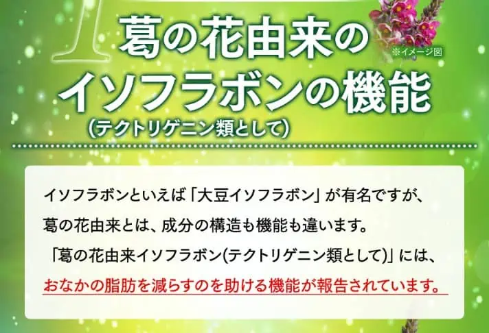 大正製薬おなかの脂肪が気になる方のタブレット葛の花由来イソフラボンの機能説明