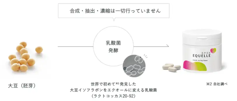 エクエルの乳酸菌発酵