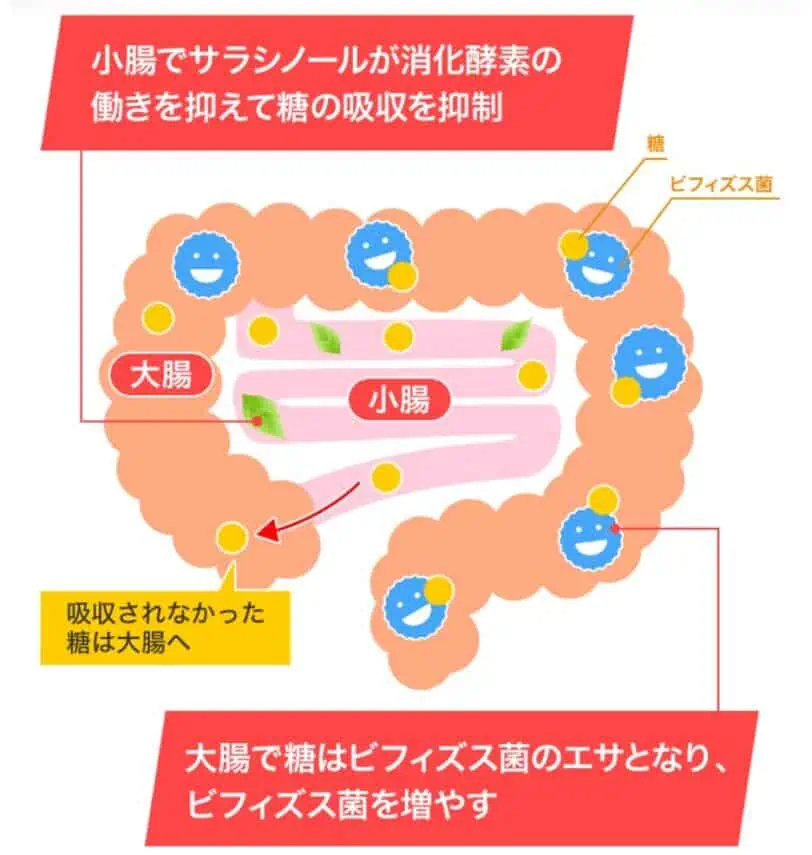 メタバリアプレミアムＥＸの効果