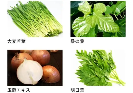 Wの健康青汁使用野菜