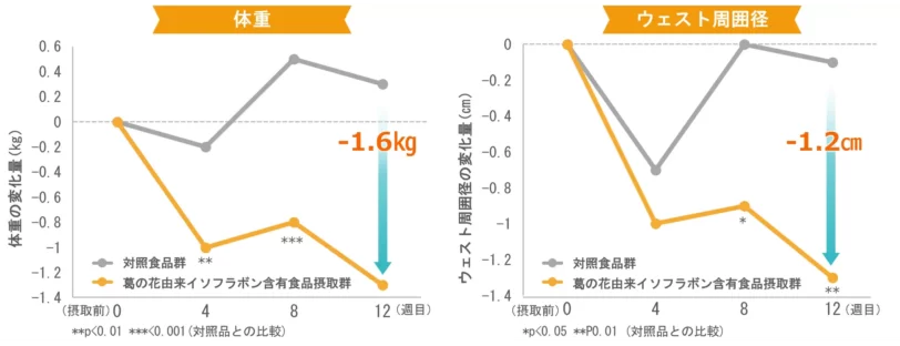 体重・ウエスト周囲径減少をサポート