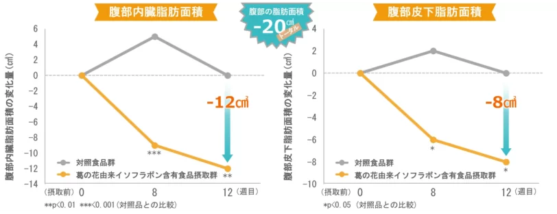 腹部の脂肪減少をサポート