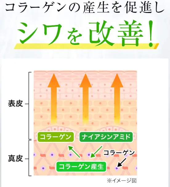 卵殻膜スキンケアでつるすべに！シワ改善に効果のある有効成分ナイアシンアミドが配合