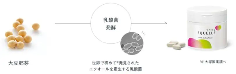 大塚製薬エクエルの乳酸菌によるエクオール産生過程