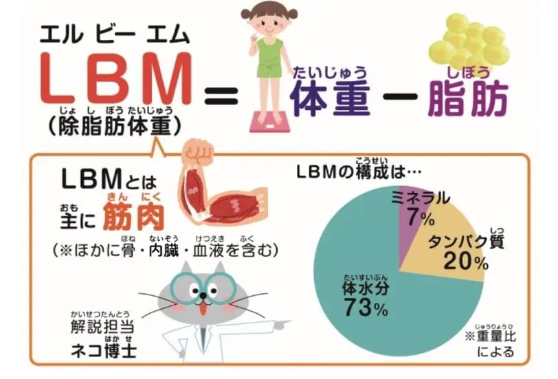 DHCフォースコリーが着目する除脂肪体重（LBM) は体重から脂肪を引いたもの