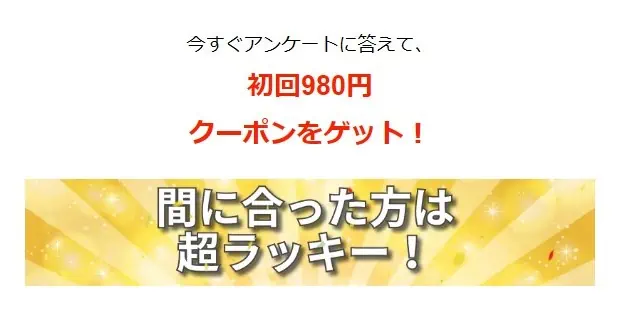 おトクに買う方法はアンケートに答えるだけ