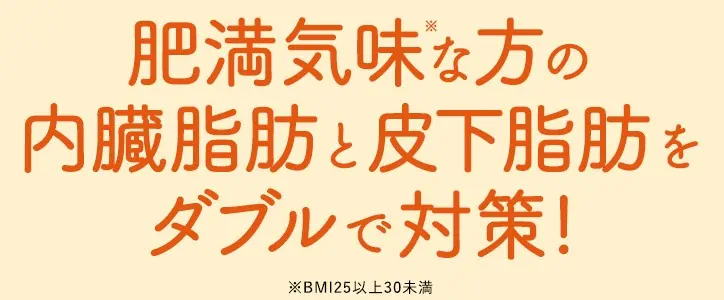 大正製薬おなかの脂肪が気になる方のタブレットは内臓脂肪と皮下脂肪ダブルで対策