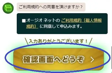 入力が間違いないか確認