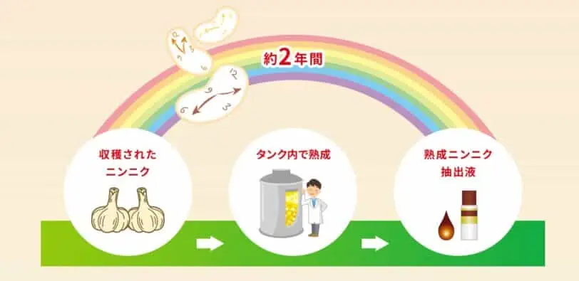 キヨーレオピンの成分①濃縮熟成ニンニク抽出液