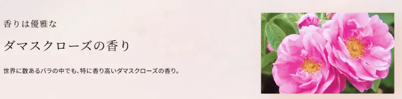 アスタリフトジェリーはタマスクローズの優雅な香り