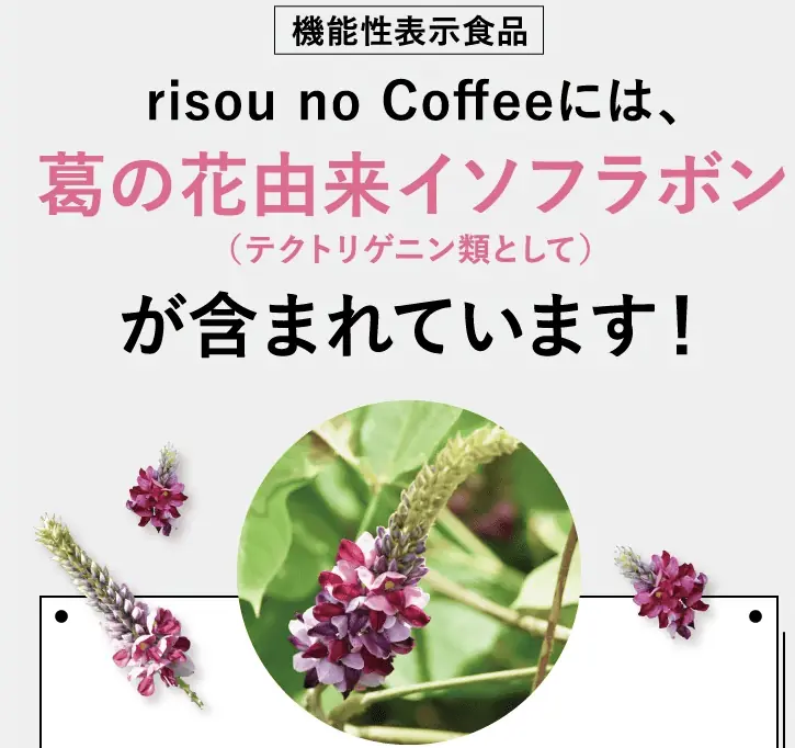 理想のコーヒーの機能性表示食品「葛の花由来イソフラボン（テクトリゲニン類として）配合