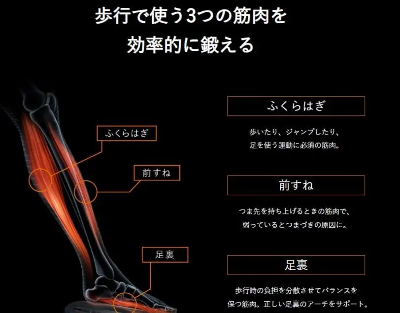 シックスパッドフットフィットは足裏・前すね・ふくらはぎなど足の筋肉を刺激する