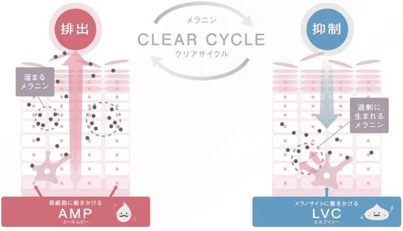 生まれるメラニンと溜まるメラニンに着目し、1本で両方のメラニンにアプローチして、透明感*1のある肌へと導いてくれます。