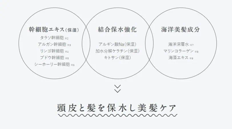 エイトザタラソシャンプーの成分