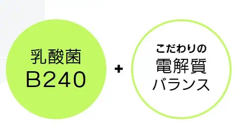 ボディメンテに入っている乳酸菌B240