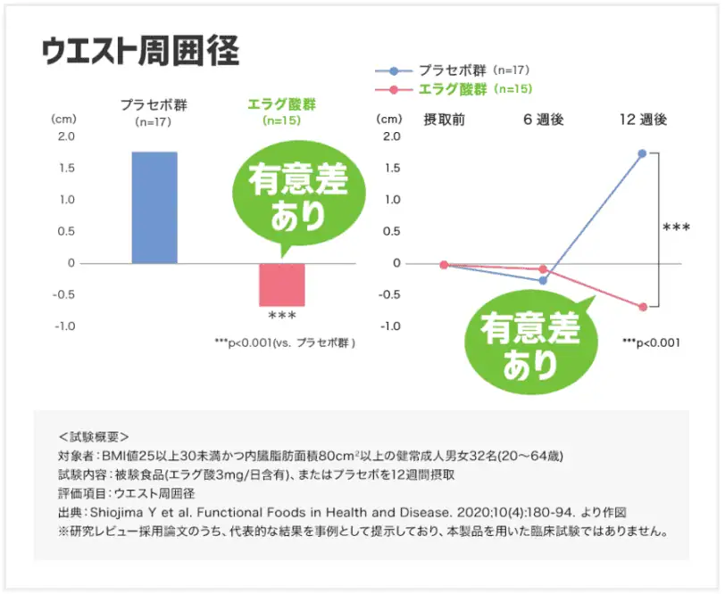 肥満気味の方の体脂肪や体重、ウエスト周囲径の減少をサポートしてくれるサプリメント3