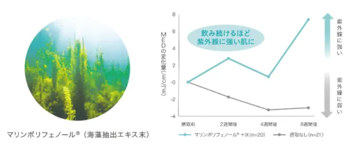 内側からキレイをサポートする実力派サプリ