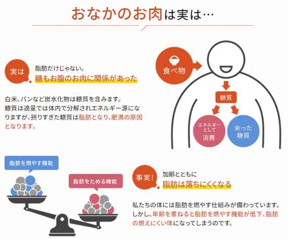 防風通聖散は落ちにくい脂肪を燃やすチカラを高める