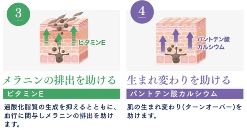 日焼けやかぶれによる色素沈着の緩和・歯茎や鼻の出血予防・ビタミンCの補給をしてくれる医薬品