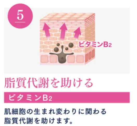 日焼けやかぶれによる色素沈着の緩和・歯茎や鼻の出血予防・ビタミンCの補給をしてくれる医薬品