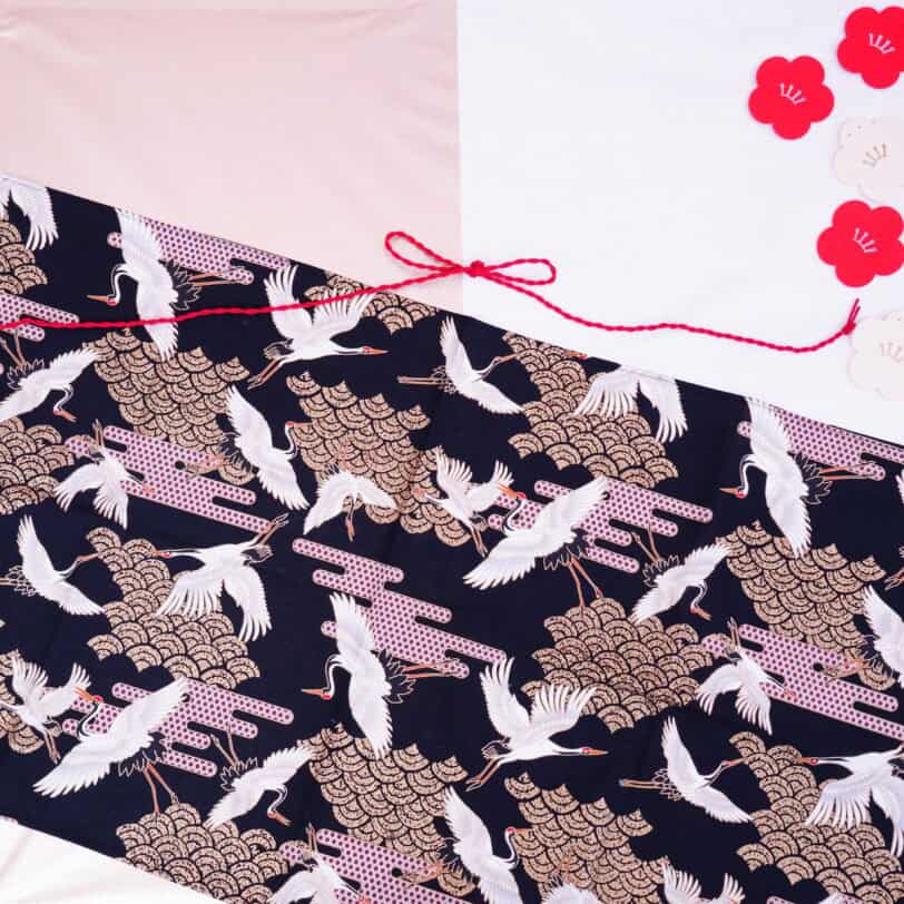 男の子ご祝儀袋風のベビーフォト