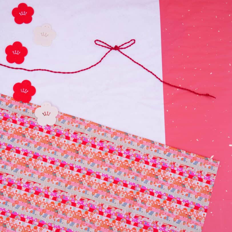 女の子ご祝儀袋風ベビーフォト